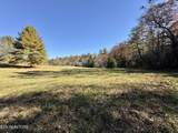 0 Daddy S Creek Trail - Photo 46