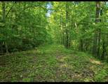 0 Shetland Trace - Photo 1