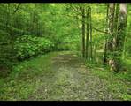 0 Shetland Trace - Photo 5