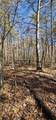 0 Woods Rd - Photo 11