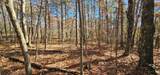 0 Woods Rd - Photo 3