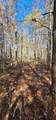 0 Woods Rd - Photo 10