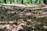 0 Brush Creek Rd - Photo 3