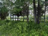 0 Catfish Ln - Photo 6
