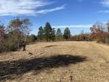 830 Twin Pines Overlook - Photo 14