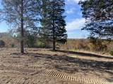 830 Twin Pines Overlook - Photo 17
