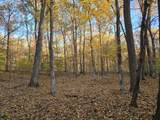 14 Rockcastle Shores - Photo 6