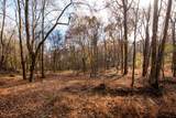 1286 David Patterson Rd - Photo 7