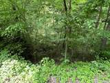 0 Clay Lick Rd - Photo 2