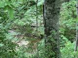 0 Clay Lick Rd - Photo 3