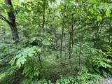0 Clay Lick Rd - Photo 4