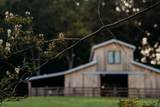 3795 Turnersville Rd - Photo 18