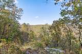 680 Rattlesnake Spring Road - Photo 69