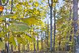 680 Rattlesnake Spring Road - Photo 8