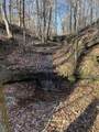0 Pigpen Hollow Rd - Photo 6