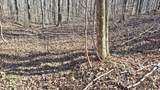 84 Granny Pratt Ln - Photo 41
