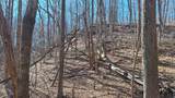84 Granny Pratt Ln - Photo 42