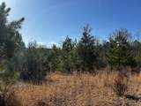 0 No Pone Valley Road - Photo 5
