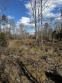 0 No Pone Valley Road - Photo 8