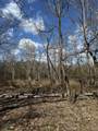0 No Pone Valley Road - Photo 9