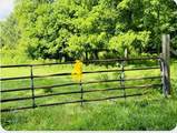 0 No Pone Valley Road - Photo 10