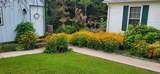 149 Annette Ln - Photo 6