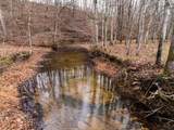 0 Shelter Branch Road - Photo 3