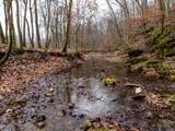 0 Shelter Branch Road - Photo 9