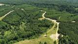 0 Cox Hollow - Photo 14