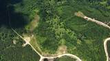 0 Cox Hollow - Photo 15