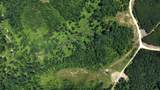 0 Cox Hollow - Photo 16