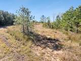0 Cox Hollow - Photo 51