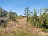 0 Cox Hollow - Photo 52