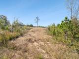 0 Cox Hollow - Photo 53