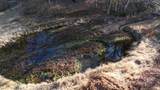 476 Appalachia Dam Road - Photo 11