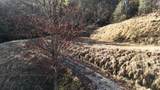 476 Appalachia Dam Road - Photo 12