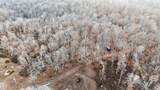 100 Waynoe Road - Photo 10