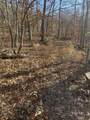 0 Davis N Lake Access Rd - Photo 5