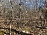 0 Davis N Lake Access Rd - Photo 6
