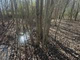 0 Gum Springs Mountain Rd - Photo 9