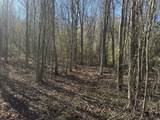 0 Gum Springs Mountain Rd - Photo 10