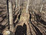 0 Whites Cave Rd - Photo 4