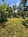 0 0 Paul Harrell Rd - Photo 4