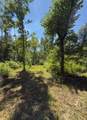 0 0 Paul Harrell Rd - Photo 6