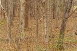 512 N Happy Hollow Road - Photo 7