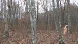 0 Cumberland Cove Rd - Photo 9