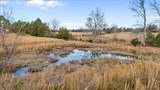 0 Polley Willey Rd - Photo 13