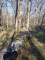 980 Baldy Ford Road - Photo 5