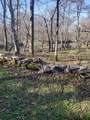 980 Baldy Ford Road - Photo 6