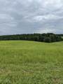 9 Highway 52 - Photo 2